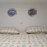 Le Nautilus